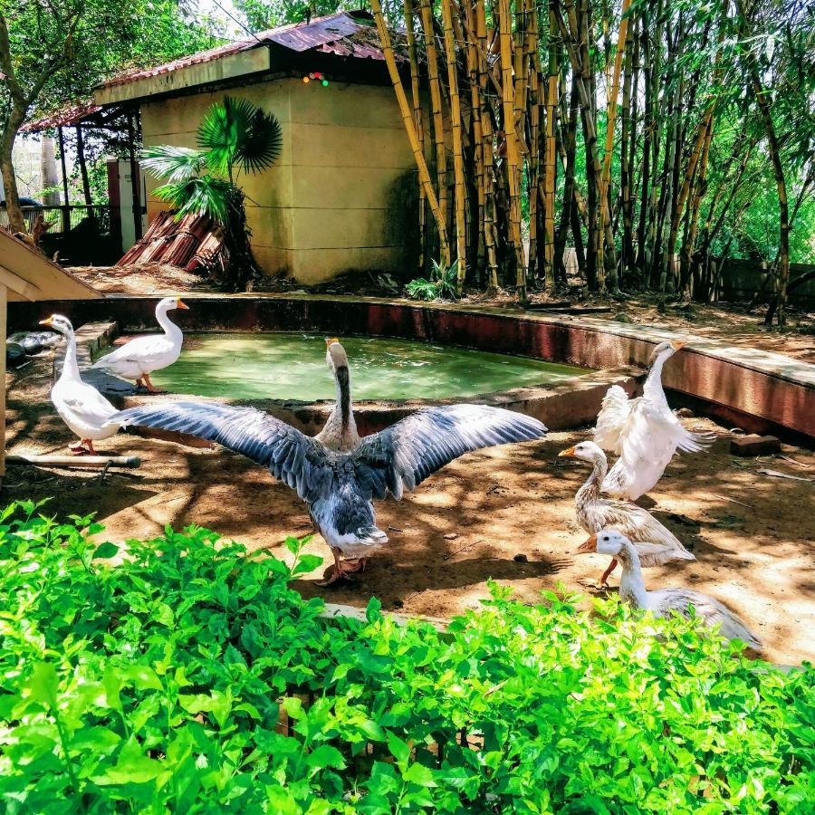 ดิว ดร็อปส์ บูทิก รีทรีต Hotel อิกัตปุรี ภายนอก รูปภาพ